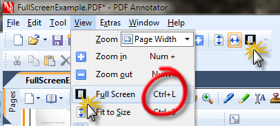 Open Full Screen Mode in PDF Annotator