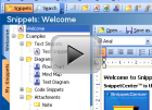 Text Snippets